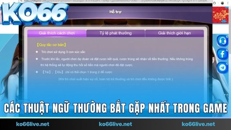 Các thuật ngữ thường bắt gặp nhất trong game 