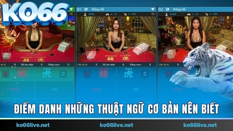 Điểm danh những thuật ngữ cơ bản nên biết