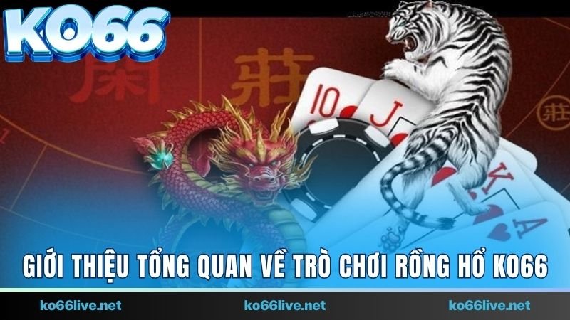 Giới thiệu tổng quan về trò chơi Rồng Hổ Ko66