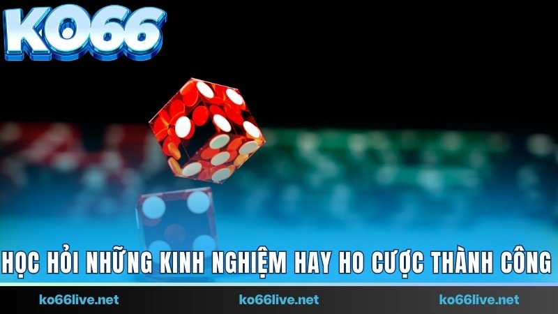 Học hỏi những kinh nghiệm hay ho cược thành công