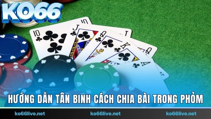 Hướng dẫn tân binh cách chia bài trong Phỏm