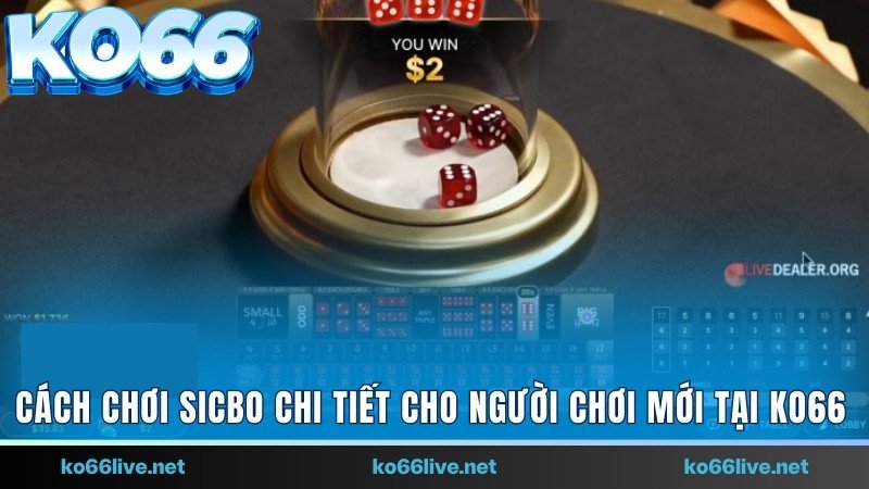 Cách chơi Sicbo