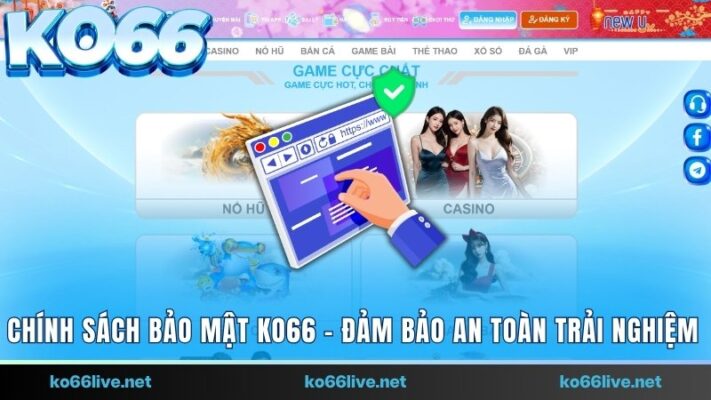 chính sách bảo mật Ko66