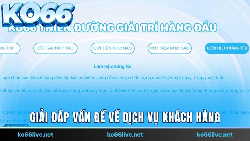Giải đáp vấn đề thường gặp về dịch vụ khách hàng