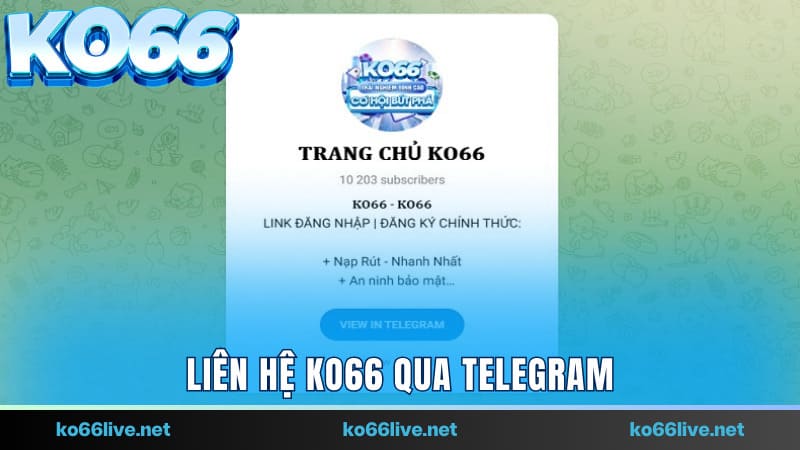 Liên hệ Ko66 qua Telegram để được nhân viên tư vấn
