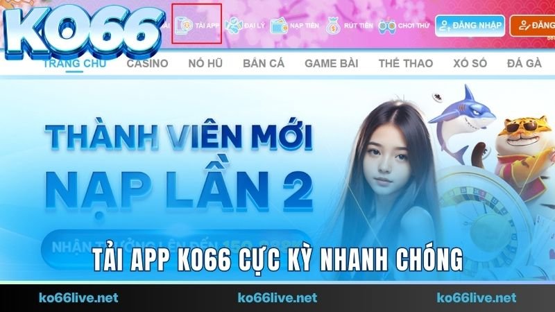 tải app Ko66